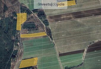 Prodej lesa v k.ú. Oseček, ev.č. 2025-08-07-1 - 2