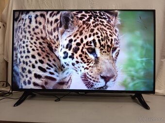 Panasonic TX-40C320E,100cm,Full HD,2xHDMI,USB - 2
