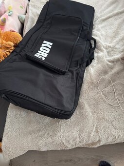 vymenim korg pa1000 - 2