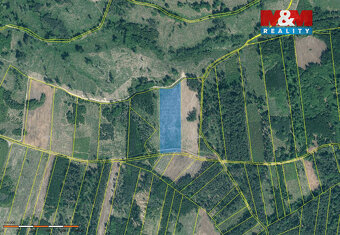 Prodej lesa, 31810 m², Jetětice - 2
