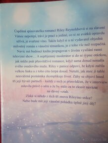 Karen Schaler: LÁSKA K VÁNOCŮM - 2