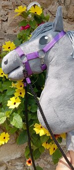 Hobby horse - 2