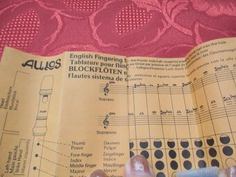 FLÉTNA párkrát použ. - 2