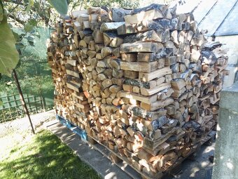 Dřevo na území - 2