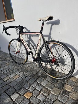 celokarbonové silniční kolo Author CA7700 - 2