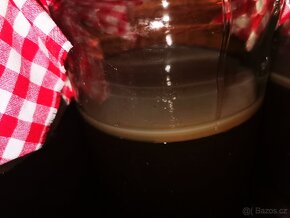 Kombucha - 2