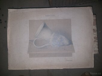 HISTORICKÁ RYTINA- J.WERNER - 2