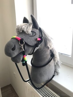 Hobby horse - 2