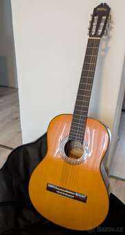 Kytara zn. Washburn C40 - 2