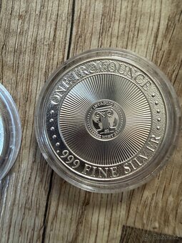 Stříbrná mince 1oz MOLON LABE 2019 Typ 5 - 2