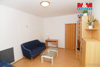 Pronájem bytu 1+1, 40 m2, Moravská Ostrava, Mánesova - 2