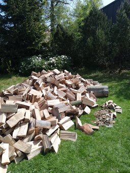 Palivové dřevo - 2