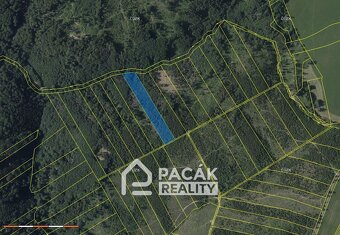 Prodej lesa v Dolanech u Olomouce, výměra 41.845m2 - 2