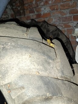 Pneumatiky 13.6-24 - 2