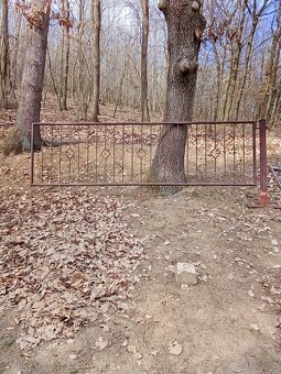 Branka a plot - 2