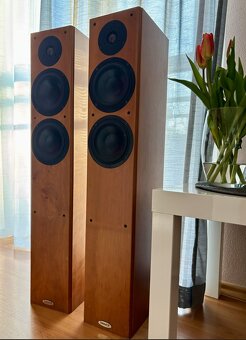 Tannoy Revolution r2 - Reproduktory s detailním zvukem. - 2