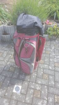 Bag Ping - 2