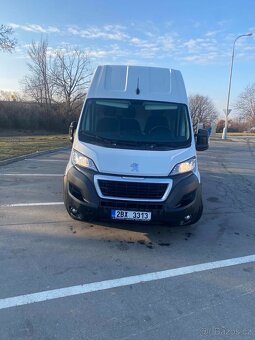 Boxer rok 2022 - 2