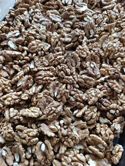 Vlašské ořechy vyloupané - 2