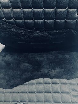 Merino podsedlovka - 2