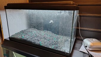 Akvárium Set 60x30x34 cm 60litru - 2