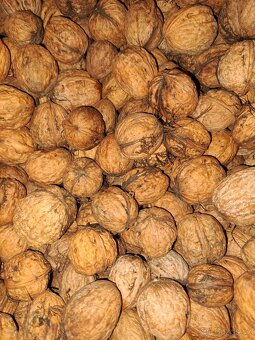 Ořechy vlašské - 2