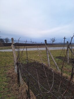 Prodej, pronájem vinohradu - 2