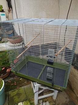 VELKÁ KLEC NA PTAKY - 2