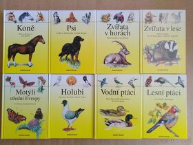 Zvířata, Ptáci, Motýli - 2