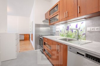 Pronájem bytu 2+kk 44 m2, Praha - Nusle, ev.č. N08214 - 2