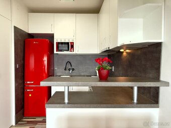 Prodej bytu o celkové ploše 30m2 v Hrušovanech u Brna - 2