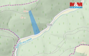 Prodej lesa, 12967 m², Nemile - 2