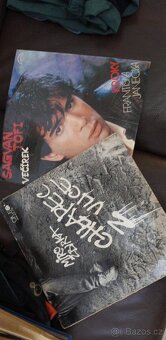 Prodám 200ks gramodesek, směs žánrů - 2