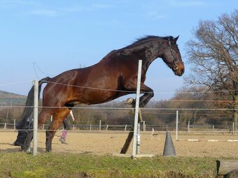 Parťák pro jednoho jezdce - 2