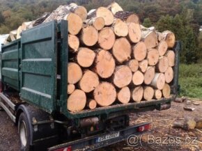Palivové dřevo Doprava do 50km zdarma - 2