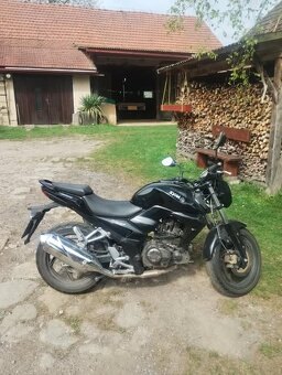 SYM Wolf 125 - 2
