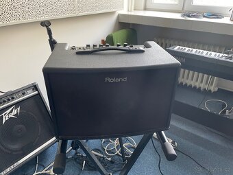 Roland AC60 akusticke kombo pro nastroj a zpev - 2