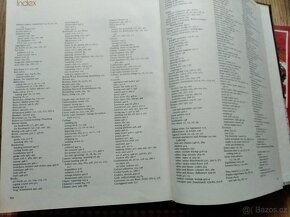 Big english book - pro domácí kutily - 2