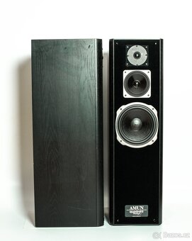 Quadral Amun Mk V - 2