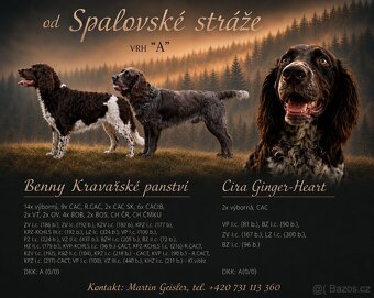 Štěňátka Německého křepeláka s PP - 2