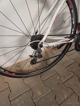 Maxbike - 3x8 - 2