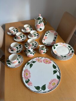 servis Villeroy & Boch Wild Rose - 2