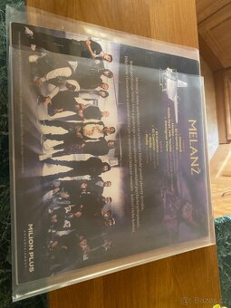 YZOMANDIAS PODEPSANÝ VINYL MELANZ - 2