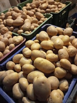 Brambory uskladnění,konzum, rajčata ringle, cukety, rajčata - 2