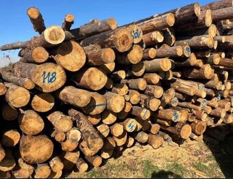 Palivové dřevo - 2