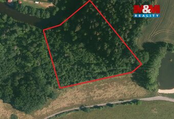 Prodej lesa, 9271 m², Římov - Branišovice - 2
