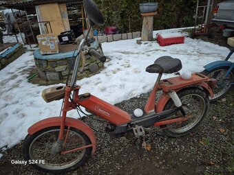 Babeta červená - 2