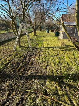 Ořez ovocných stromu a zahradnické služby - 2