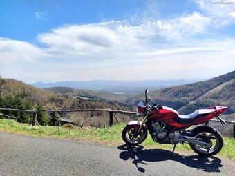 Honda CB 600F Hornet + spousta doplňků - 2