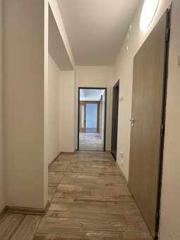Pronájem bytu 3+1 65m² - 2